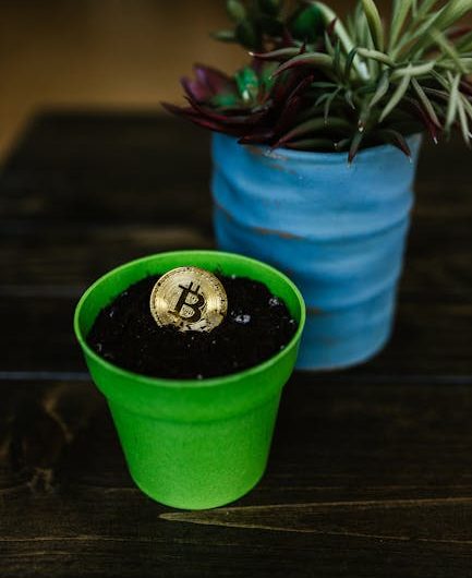 Binance и ViaBTC сравнение криптовалютных платформ