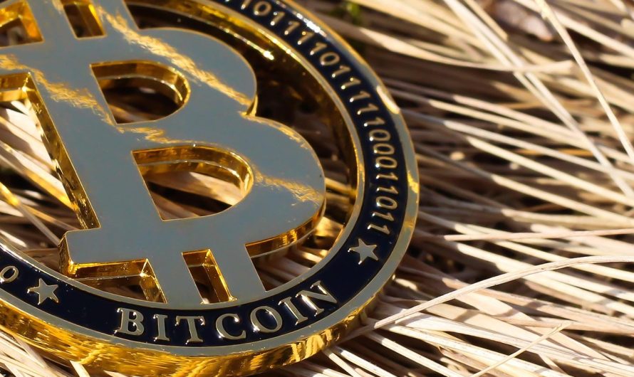 Калькулятор доходности ViaBTC для майнеров криптовалют