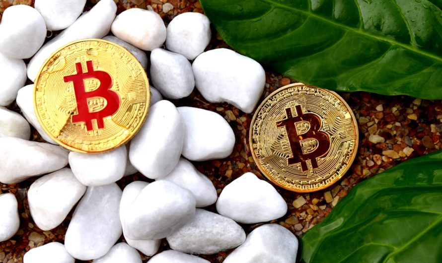 Обзор криптовалютного пула ViaBTC и его особенности